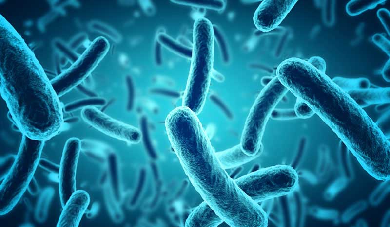 Is Gut Microbiome Behind Our Next Breakthrough Therapy?